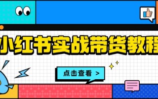 小红书实战带货教程：从开店到选品、笔记制作、发货、售后等全方位指导