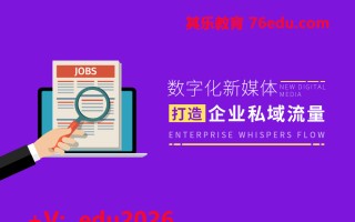 数字化新媒体，打造企业私域流量（2集） mp4高清无水印视频教程网盘免费下载