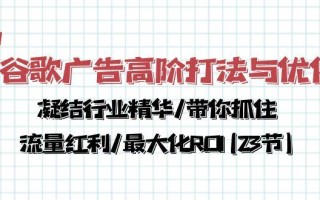 谷歌广告高阶打法与优化，凝结行业精华/带你抓住流量红利/最大化ROI(23节