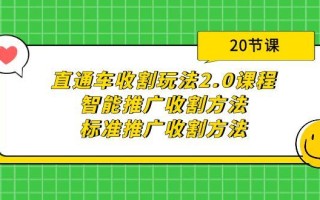 (9692期)直通车收割玩法2.0课程：智能推广收割方法+标准推广收割方法(20节课)