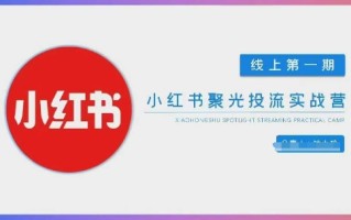 小红书聚光陪跑第一期，教你从0到1玩转小红书聚光投流，搭建小红书付费投流团队，更快的见到效果