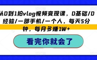 从0到1拍vlog视频变现课，0基础/0经验/一部手机/一个人，每天5分钟，每月多赚1W+