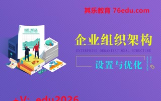 企业组织架构设置与优化（2集） mp4高清无水印视频教程网盘免费下载
