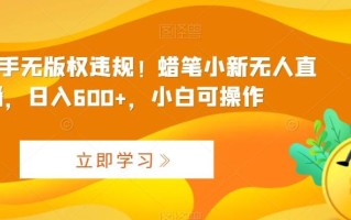 最新快手无版权违规！蜡笔小新无人直播，日入600+，小白可操作【揭秘】