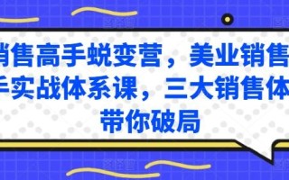销售高手蜕变营，美业销售高手实战体系课，三大销售体系带你破局