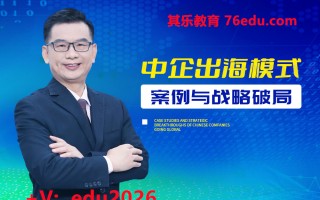 中企出海模式案例与战略破局（7集）
