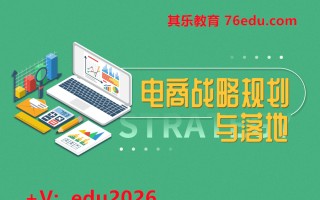 电商战略规划与落地（11集） mp4高清无水印视频教程网盘免费下载