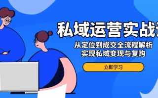 私域运营实战课，从定位到成交全流程解析，实现私域变现与复购