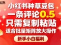 小红书种草豆包，一条评论0.5，只需复制粘贴，适合批量矩阵放大操作，新手小白福利