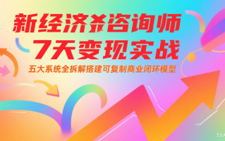 新经济咨询师 7 天变现实战：五大系统全拆解搭建可复制商业闭环模型