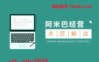 阿米巴经营本质解读（9集） mp4高清无水印视频教程网盘免费下载