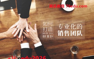 如何打造专业化的销售团队（2集） mp4高清无水印视频教程网盘免费下载
