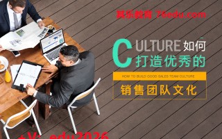 如何打造优秀的销售团队文化（4集） mp4高清无水印视频教程网盘免费下载