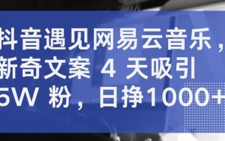 抖音遇见网易云音乐，新奇文案 4 天吸引 5W 粉，日挣1000+【揭秘】