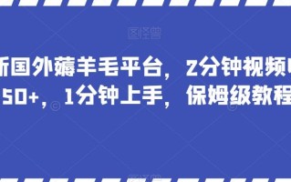 最新国外薅羊毛平台，2分钟视频收益50+，1分钟上手，保姆级教程【揭秘】