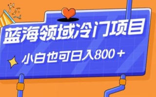 蓝海领域冷门赛道，一单39.9，日入800＋