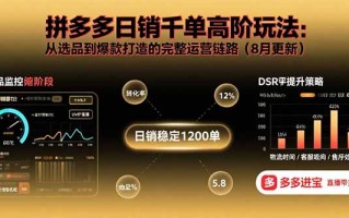拼多多日销千单高阶玩法：从选品到爆款打造的完整运营链路(8月更新