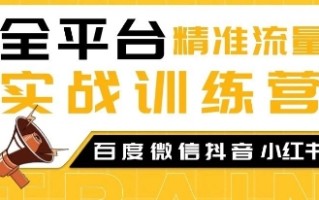 全平台精准流量实战训练营，百度微信抖音小红书SEO引流教程