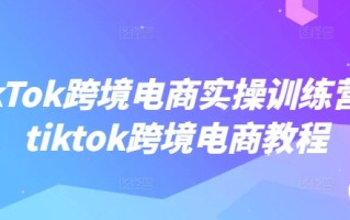 TikTok跨境电商实操训练营，tiktok跨境电商教程