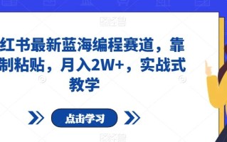 小红书最新蓝海编程赛道，靠复制粘贴，月入2W+，实战式教学【揭秘】