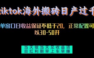 tiktok海外搬砖项目单机日产过千当天做当天见收益