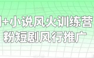 短剧+小说风火训练营，0粉短剧风行推广