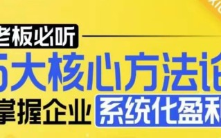 【老板必听】5大核心方法论，掌握企业系统化盈利密码