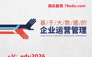 基于大数据的企业运营管理（5集） mp4高清无水印视频教程网盘免费下载
