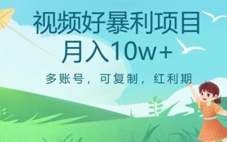 视频号暴利项目，多账号，可复制，红利期，月入10w+【揭秘】