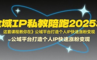 全域IP私教陪跑2025年，这套课程教你在​公域平台打造个人IP快速涨粉变现