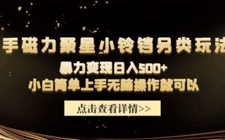 (9689期)快手磁力聚星小铃铛另类玩法，暴力变现日入500+小白简单上手无脑操作就可以