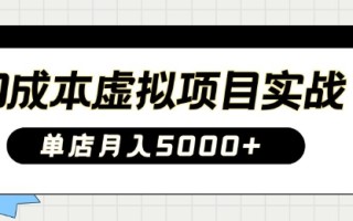 0成本虚拟项目实战手把手教你落地，单店月入5k