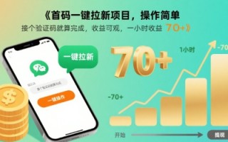 首码一键拉新项目，操作简单，接个验证码就算完成，收益可观， 一小时收益70+【揭秘】