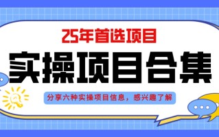 2025年实操六大项目实操演练，挂机类型，AI直播类型，轻资产创业类型，…