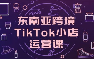 东南亚跨境TikTok小店运营课，掌握店铺设置与流量转化核心技巧