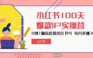 小红书100天-爆款IP实操营，0到1做高价值小红书号 每月多赚3000+(16节
