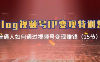 Vlog 视频号IP变现特训营，普通人如何通过视频号变现赚钱(15节