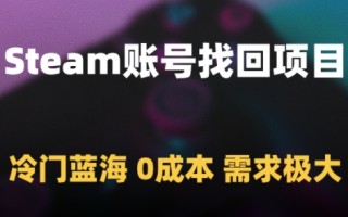 Steam账号找回项目，冷门蓝海，0成本，需求极大