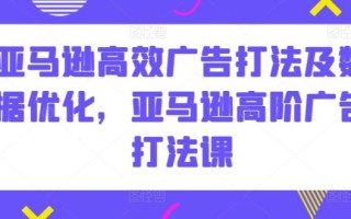 亚马逊高效广告打法及数据优化，亚马逊高阶广告打法课