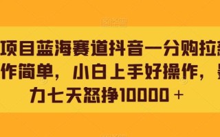 新项目蓝海赛道抖音一分购拉新操作简单，小白上手好操作，暴力七天怒挣10000＋