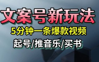 文案号新玩法，5分钟一条爆款视频，流量高，起号快，多方位变现
