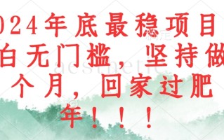 2024年底最稳项目，小白无门槛，坚持做三个月，回家过肥年！！！