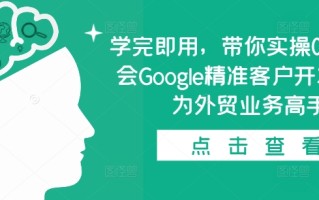 学完即用，带你实操0基础学会Google精准客户开发，成为外贸业务高手
