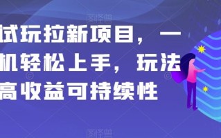 应用试玩拉新项目，一部手机轻松上手，玩法简单高收益可持续性【揭秘】