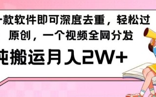 一款软件深度去重，轻松过原创，一个视频全网分发，纯搬运月入2W+
