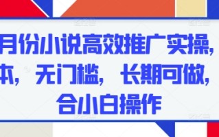 五月份小说高效推广实操，0成本，无门槛，长期可做，适合小白操作