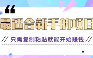 2024最适合新手操作的项目，新手小白只需复制粘贴就能开始赚钱【视频教程+软件】